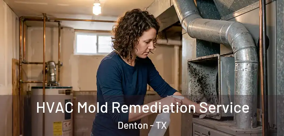  HVAC Mold Remediation Service Denton - TX