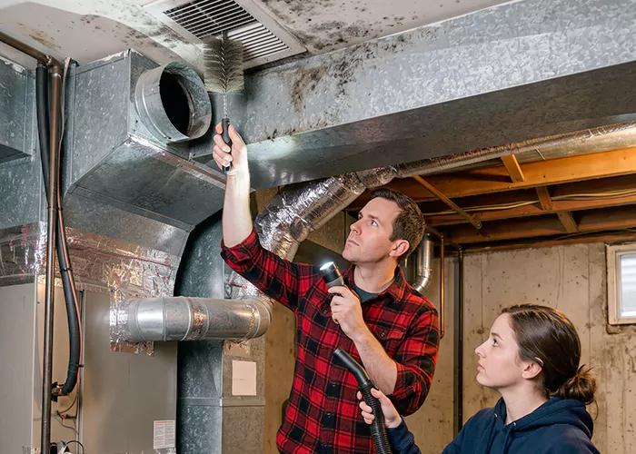 Premier HVAC Mold Remediation Company in Denton